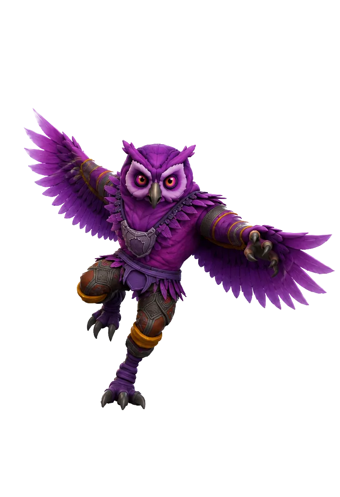 Noctur form